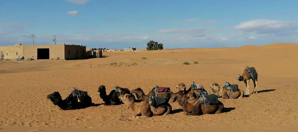Marokko Sahara Erg Chebbi